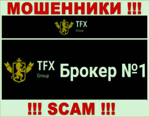 Не нужно доверять деньги TFX Group, ведь их область деятельности, Forex, обман