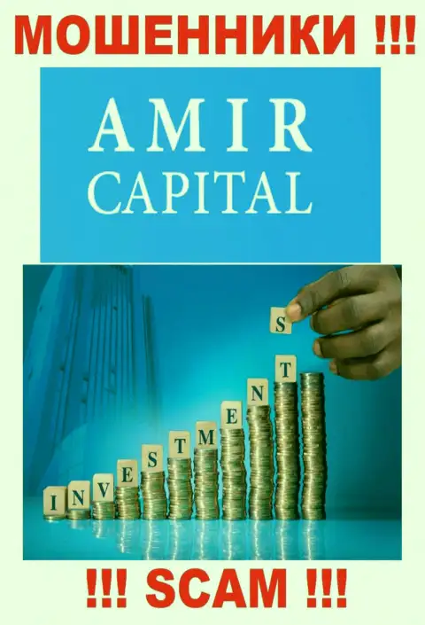 Не отправляйте накопления в Амир Капитал, тип деятельности которых - Инвестиции