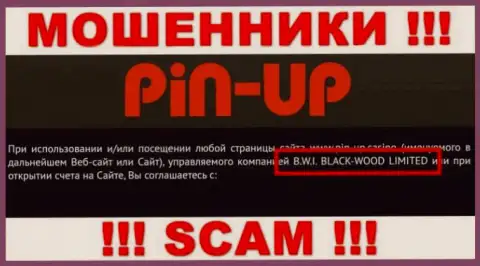 Аферисты Pin-Up Casino принадлежат юр лицу - B.W.I. BLACK-WOOD LIMITED