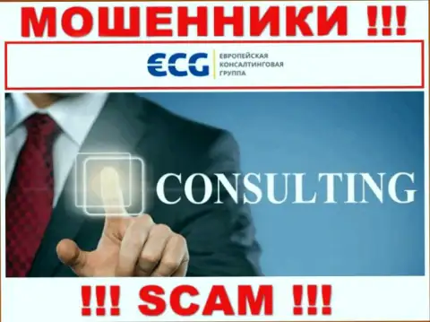 Consulting - это направление деятельности неправомерно действующей компании E.C.G