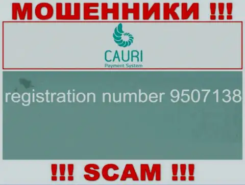 Регистрационный номер, который принадлежит неправомерно действующей конторе Каури - 9507138