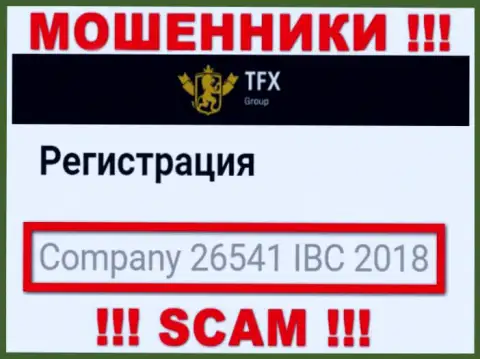 Регистрационный номер, который принадлежит мошеннической конторе TFX-Group Com: 26541 IBC 2018