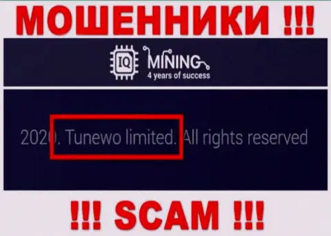 Мошенники IQ Mining написали, что именно Tunewo Limited управляет их лохотронным проектом