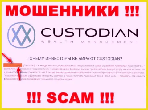 Юр. лицом, владеющим интернет обманщиками Custodian, является ООО Кастодиан