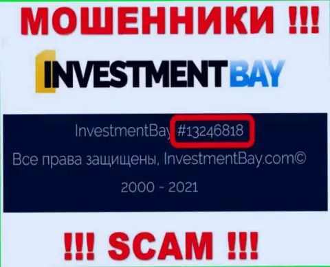 Номер регистрации, под которым официально зарегистрирована компания Investmentbay LTD: 13246818