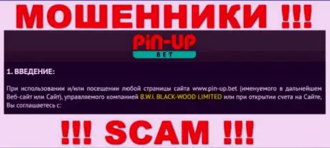 Юр лицо организации Пин-Ап Бет - это B.W.I. BLACK-WOOD LIMITED, инфа позаимствована с официального интернет-сервиса
