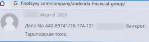 Отзыв об Anderida - воруют вложения