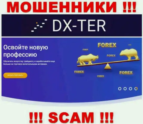 С DX-Ter Com иметь дело весьма рискованно, их тип деятельности FOREX - это капкан
