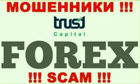 Не верьте, что сфера деятельности Trust Capital - Forex легальна - это разводняк