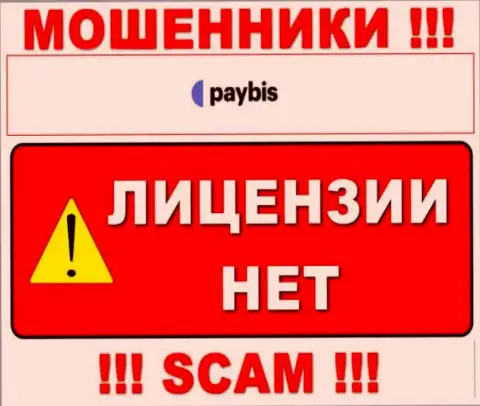 Данных о лицензии на осуществление деятельности PayBis у них на официальном сайте не приведено - это ОБМАН !