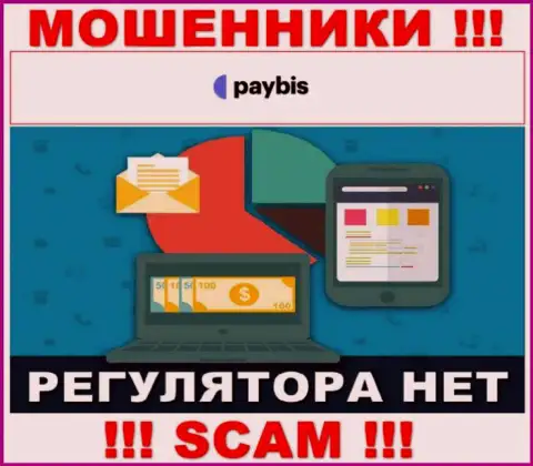 У PayBis на сайте не найдено сведений об регуляторе и лицензии компании, а значит их вообще нет