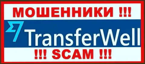 TransferWell - это ЖУЛИКИ ! Вложения не отдают !!!