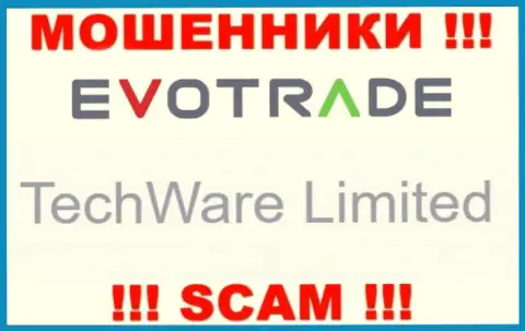 Юридическим лицом Evo Trade является - TechWare Limited