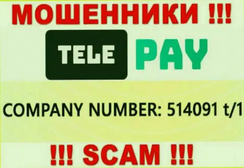 Номер регистрации ТелеПай, который указан ворюгами у них на интернет-сервисе: 514091 t/1