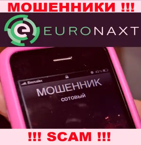 Вас намереваются развести на деньги, EuroNax ищут очередных доверчивых людей