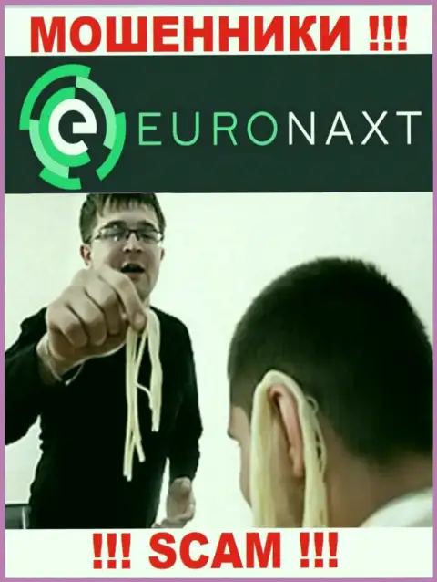 EuroNax намереваются раскрутить на совместное сотрудничество ? Будьте очень внимательны, надувают