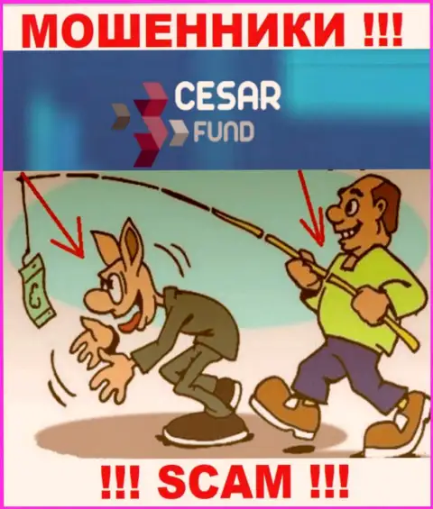 Мошенники Цезарь Фонд в поисках новых доверчивых людей
