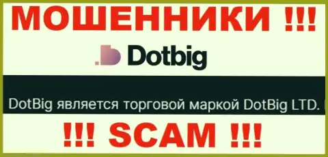 Dot Big - юр. лицо мошенников компания DotBig LTD