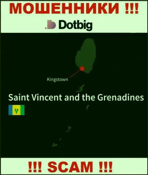 Dot Big имеют офшорную регистрацию: Kingstown, St. Vincent and the Grenadines - будьте крайне внимательны, мошенники