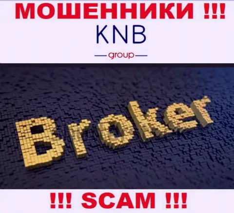 Область деятельности преступно действующей организации KNB Group - Брокер