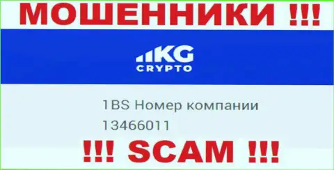 Номер регистрации организации CryptoKG, в которую деньги рекомендуем не перечислять: 13466011