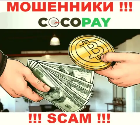 Не стоит доверять вложенные деньги Coco Pay, так как их направление деятельности, Обменник, капкан