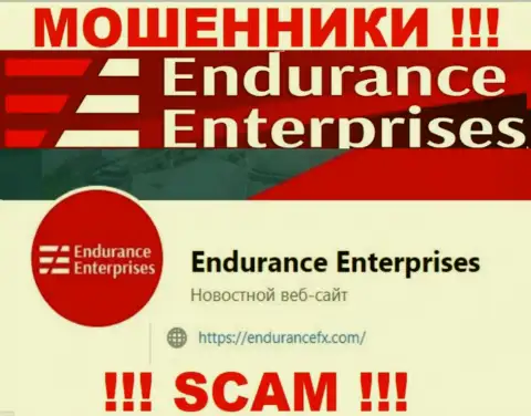 Установить связь с интернет-ворюгами из Endurance FX Вы сможете, если отправите письмо им на электронный адрес