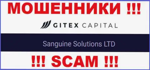 Юридическое лицо GitexCapital - это Sanguine Solutions LTD, такую инфу опубликовали мошенники на своем сайте