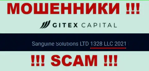 Номер регистрации организации Gitex Capital - 1328LLC2021