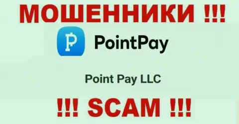 На веб-сервисе ПоинтПей написано, что Point Pay LLC - это их юридическое лицо, однако это не обозначает, что они приличные