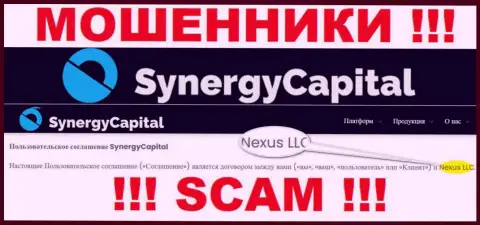 Юридическое лицо, которое владеет internet мошенниками SynergyCapital - это Нексус ЛЛК