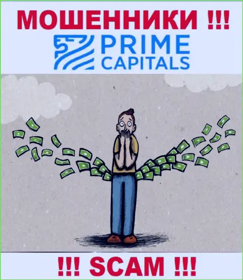 Финансовые вложения с организацией Prime Capitals Ltd Вы не нарастите - это ловушка, куда Вас намерены затянуть