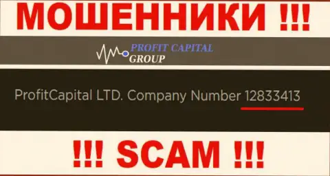 Номер регистрации Profit Capital Group, который представлен мошенниками на их интернет-ресурсе: 12833413