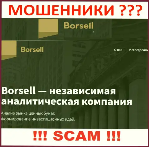 Что касается области деятельности Borsell Ru (Аналитика) - это сто процентов надувательство