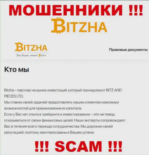 Bitzha24 Com - это циничные мошенники, вид деятельности которых - Инвестиции