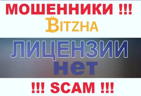 Мошенникам Bitzha не выдали лицензию на осуществление их деятельности - сливают вложения