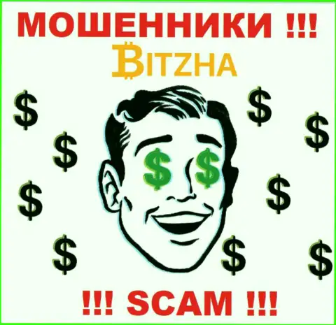 Компания Bitzha24 Com - МОШЕННИКИ !!! Действуют незаконно, так как не имеют регулирующего органа
