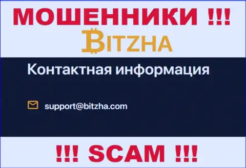 Адрес электронного ящика лохотронного проекта Битза24 Ком, информация с официального web-ресурса