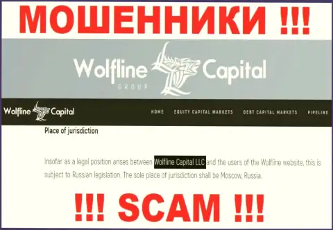 Юридическое лицо конторы WolflineCapital - это ООО Волфлайн Кэпитал