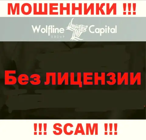 Нереально отыскать информацию о лицензии мошенников Wolfline Capital LLC - ее попросту не существует !!!